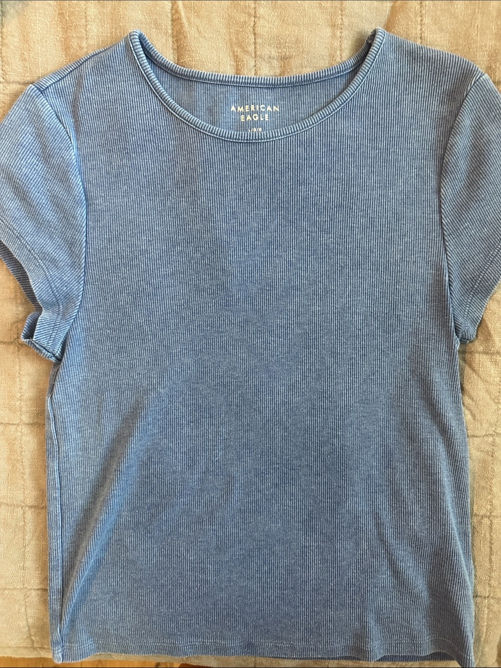 American Eagle Outfitters Light Blue Ribbed Short Sleeve Tee
